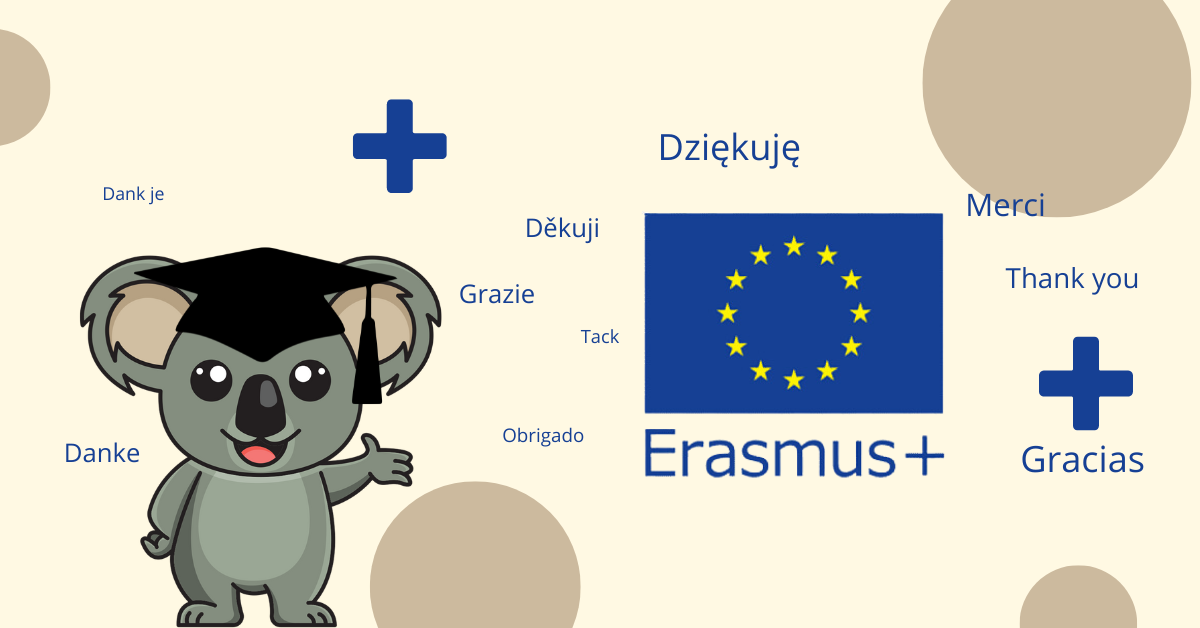 erasmus koala 1200x628